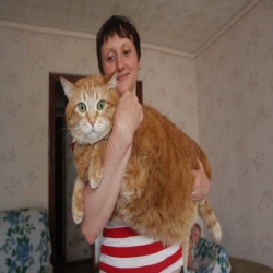 История украинского кота-гиганта
