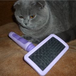 Инструменты для расчесывания шерсти кошек 